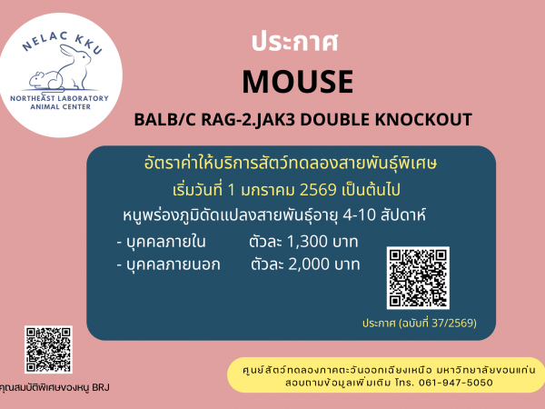 อัตราค่าบริการพร่องภูมิฉบับใหม่ 2569